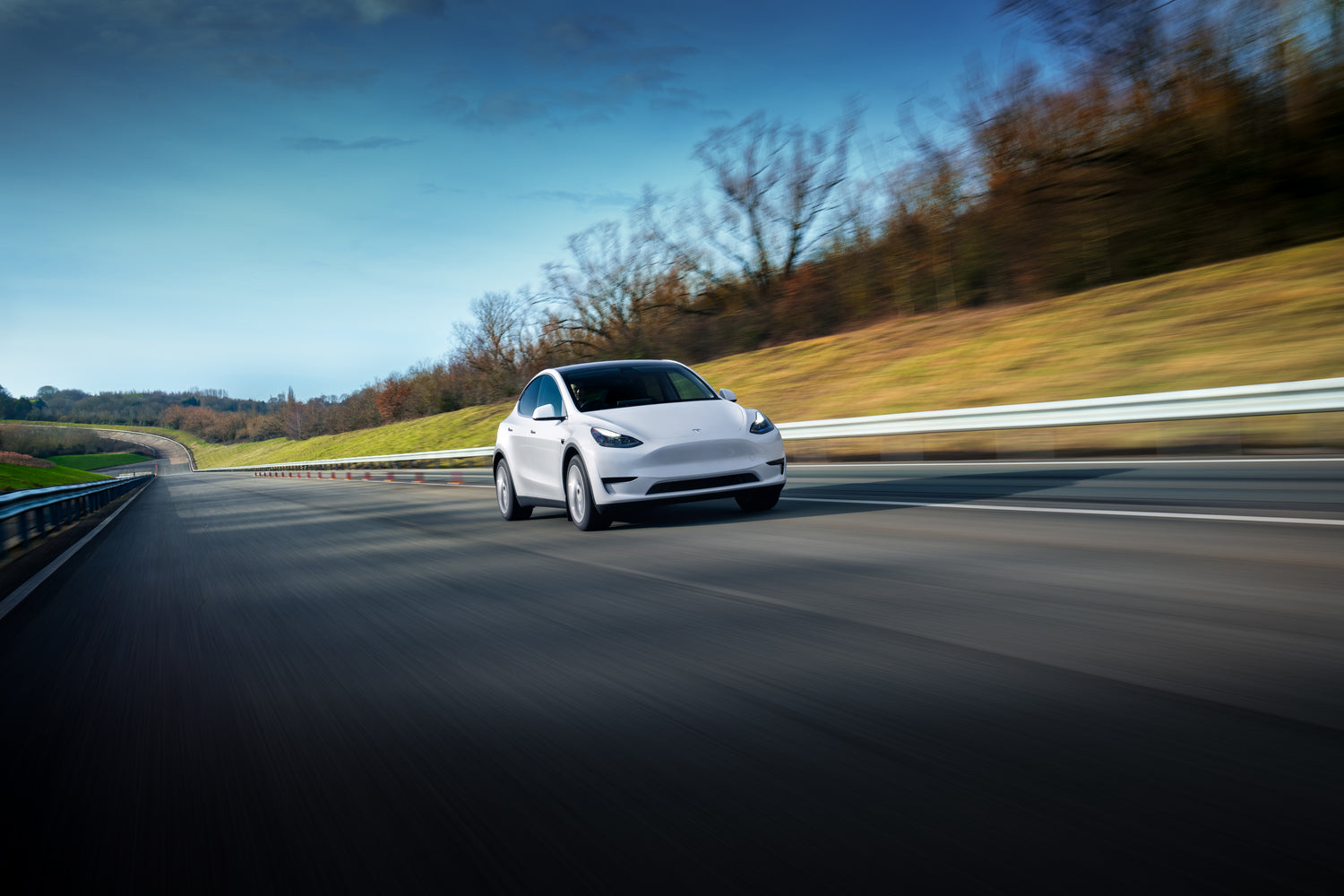 Model Y